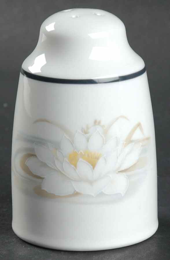 Hampstead Salt Shaker by Royal Doulton-1