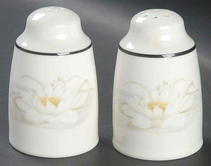 Hampstead Salt & Pepper Set by Royal Doulton-1