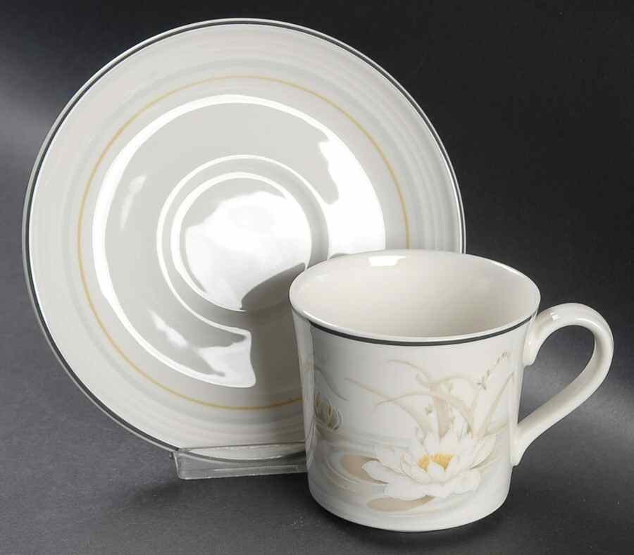 Hampstead Flat Cup & Saucer Set by Royal Doulton-1