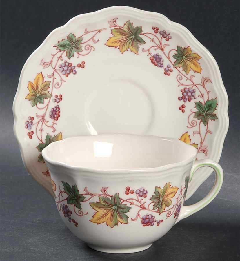 Indian Summer Flat Cup & Saucer Set by Royal Doulton-1