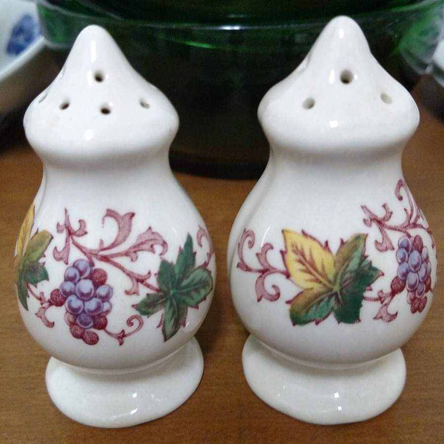 Indian Summer Salt & Pepper Set by Royal Doulton-1