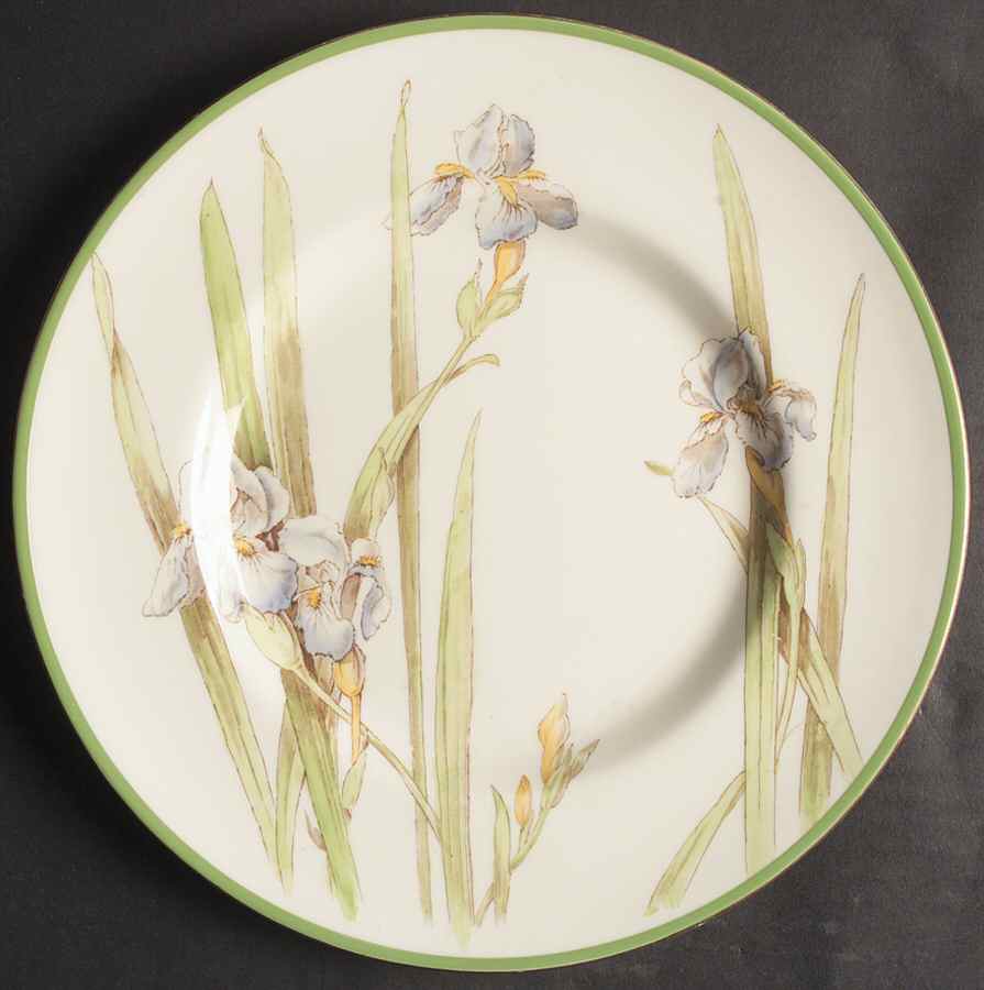 Iris Dinner Plate by Royal Doulton-1
