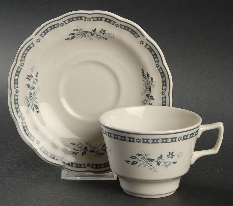 Langdale Flat Cup & Saucer Set by Royal Doulton-1