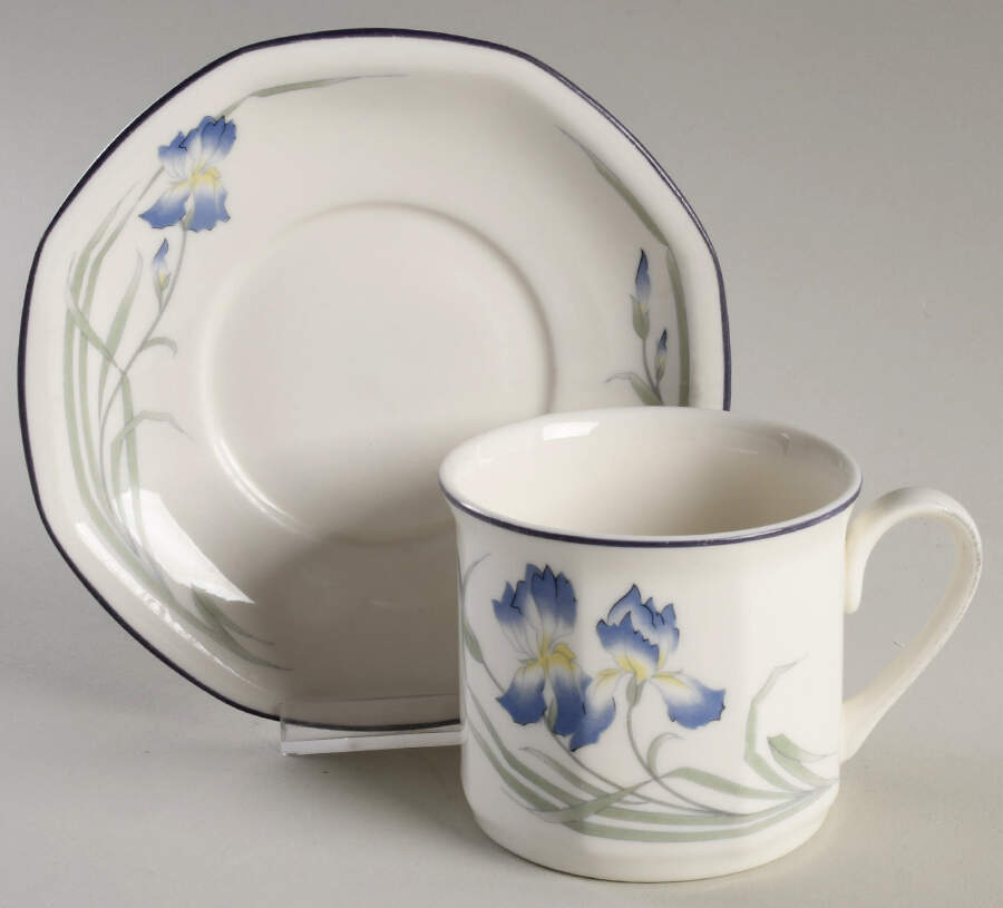 Minerva Flat Cup & Saucer Set by Royal Doulton-1