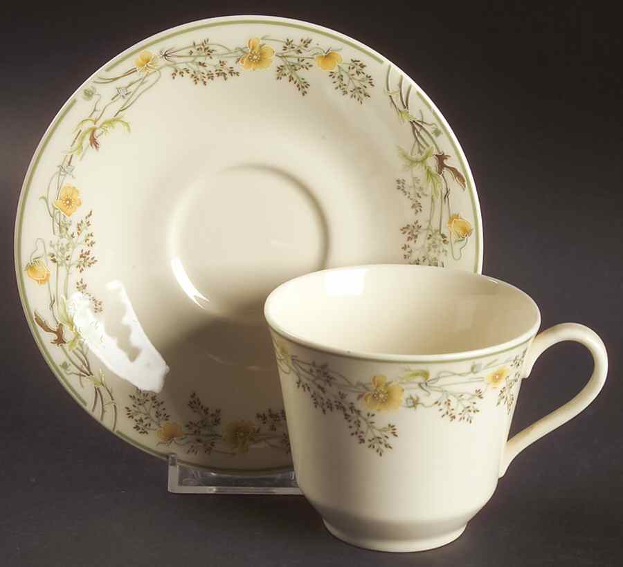 Nicole Flat Cup & Saucer Set by Royal Doulton-1