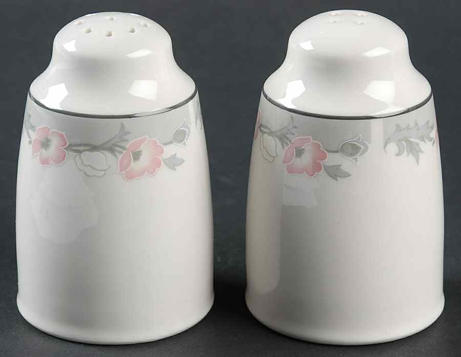 Park Lane Salt & Pepper Set by Royal Doulton-1