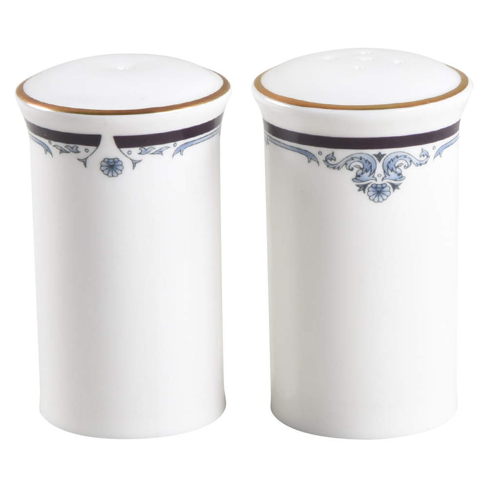 Princeton Salt & Pepper Set by Royal Doulton-1