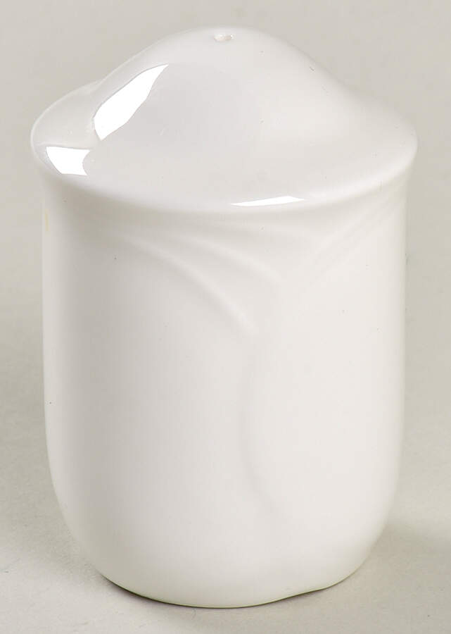 Profile Salt Shaker by Royal Doulton-1