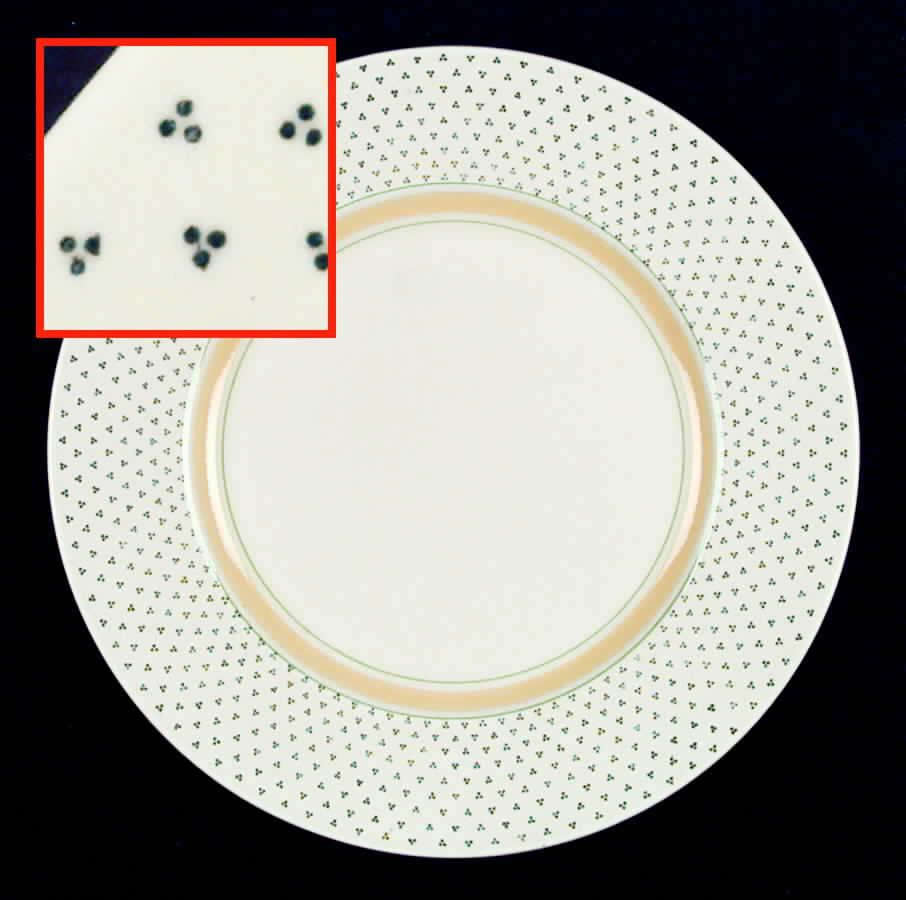 Radio Dinner Plate by Royal Doulton-1