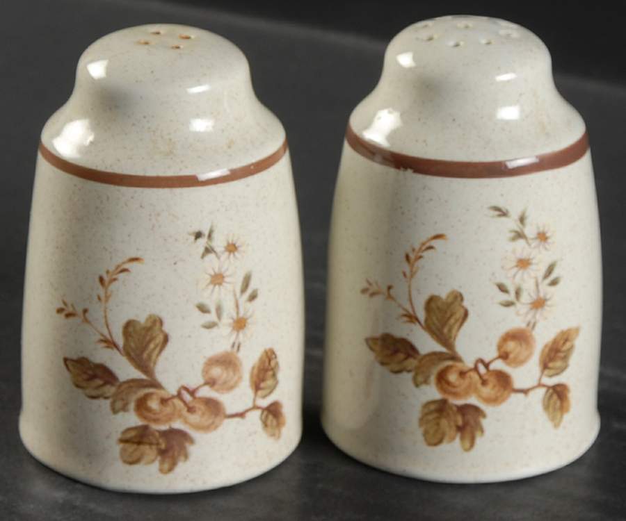 Ravel Salt & Pepper Set by Royal Doulton-1