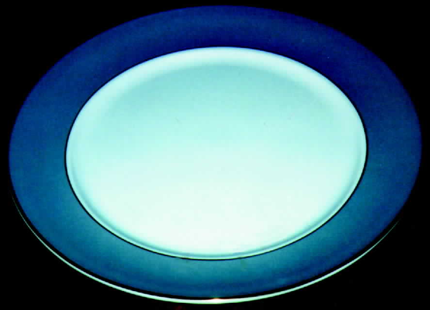 RD30 Dinner Plate by Royal Doulton-1