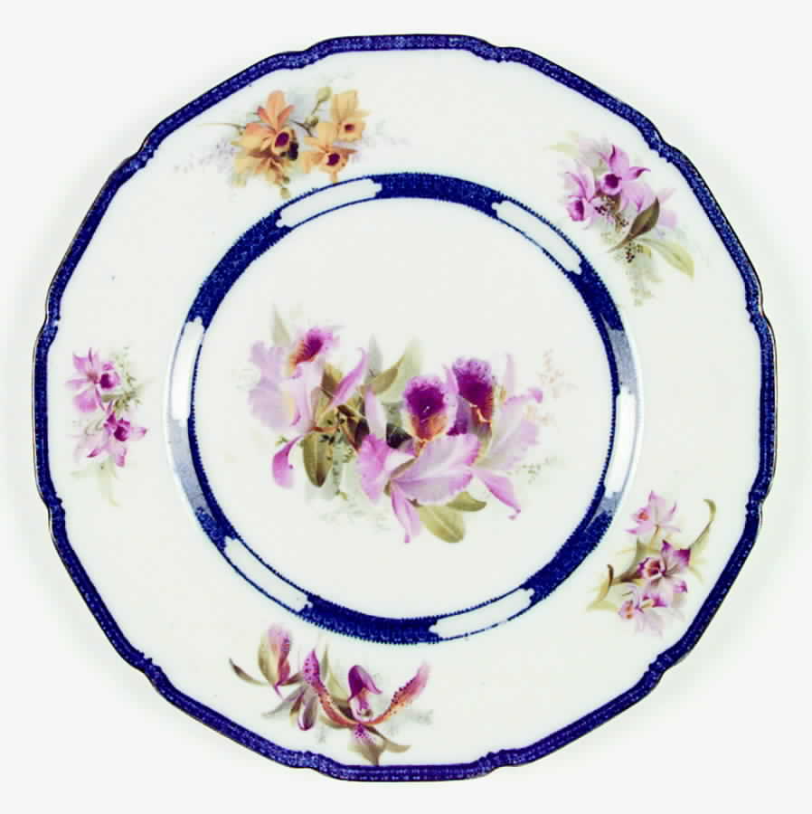 RD41 Dinner Plate by Royal Doulton-1