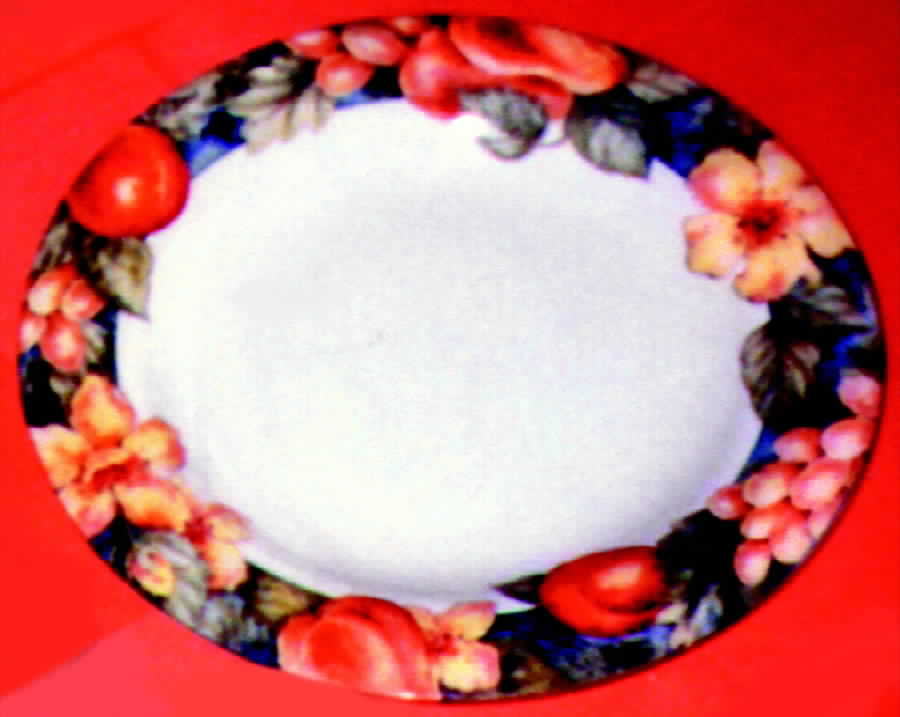 RD52 Dinner Plate by Royal Doulton-1