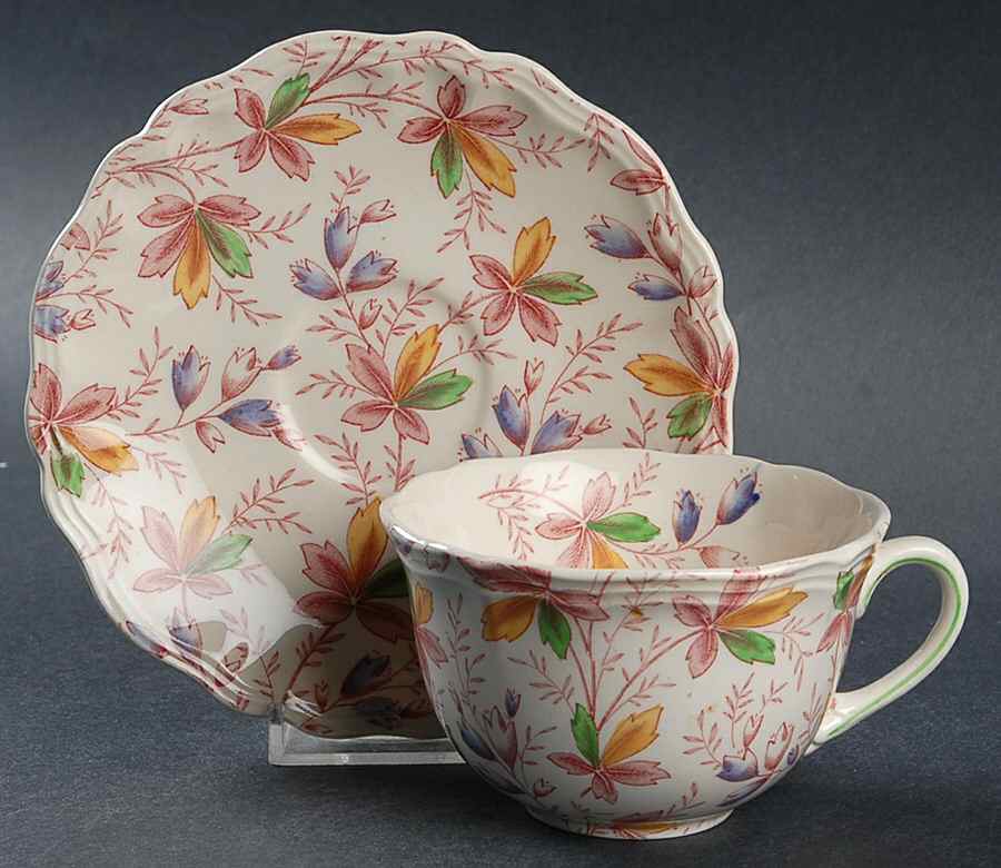 Salisbury Flat Cup & Saucer Set by Royal Doulton-1