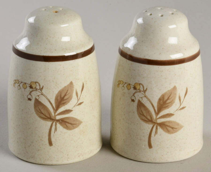 Sandsprite (Single Line Brown Trim) Salt & Pepper Set by Royal Doulton-1