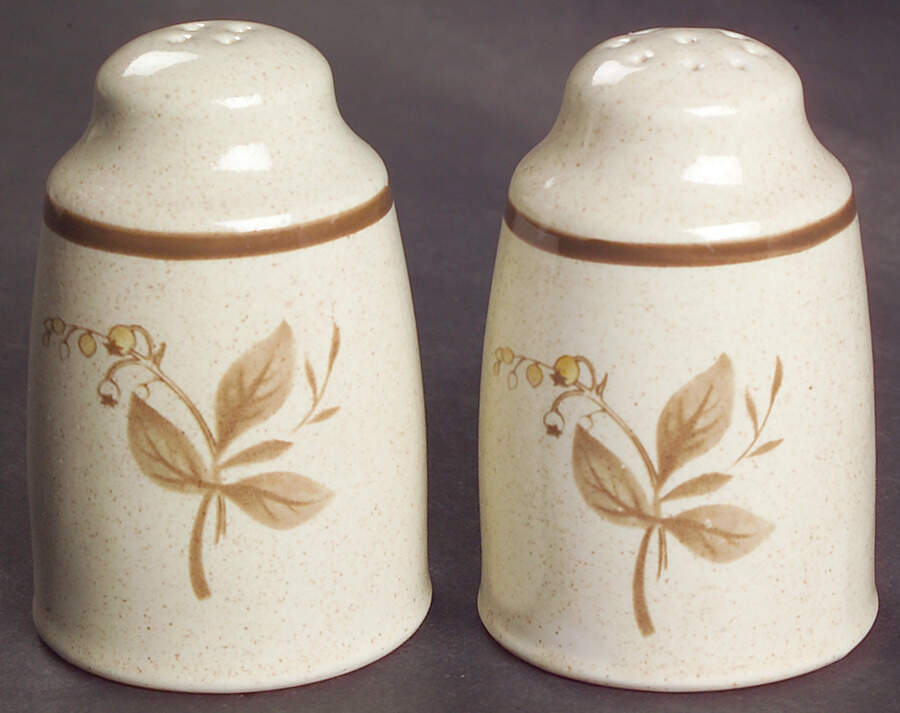 Sandsprite (Double Line Brown Trim) Salt & Pepper Set by Royal Doulton-1