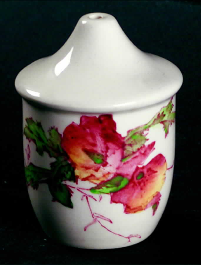 Sherborne Salt Shaker by Royal Doulton-1