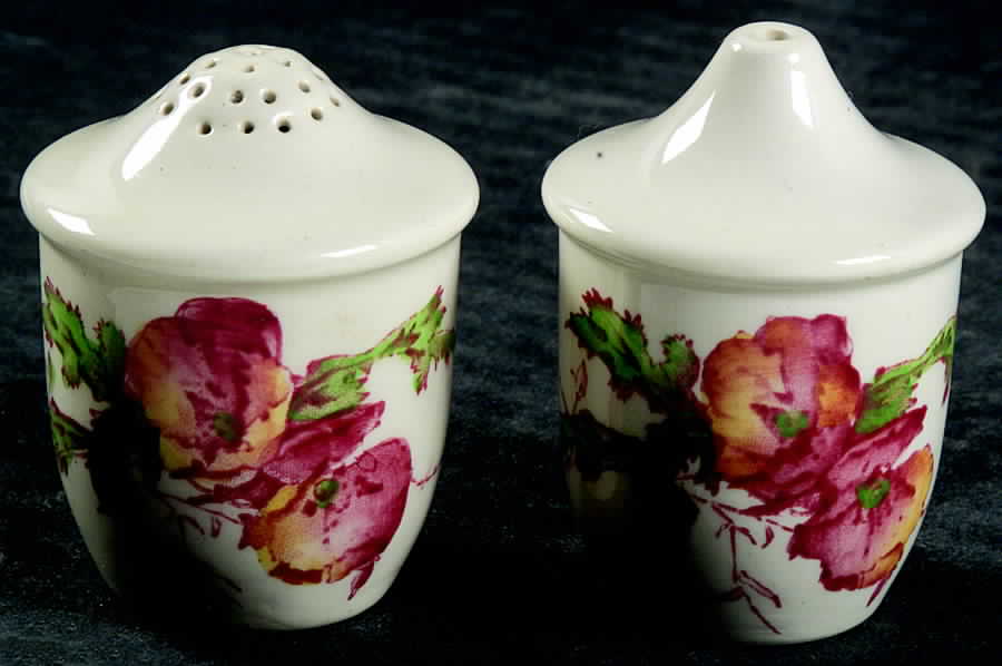 Sherborne Salt & Pepper Set by Royal Doulton-1