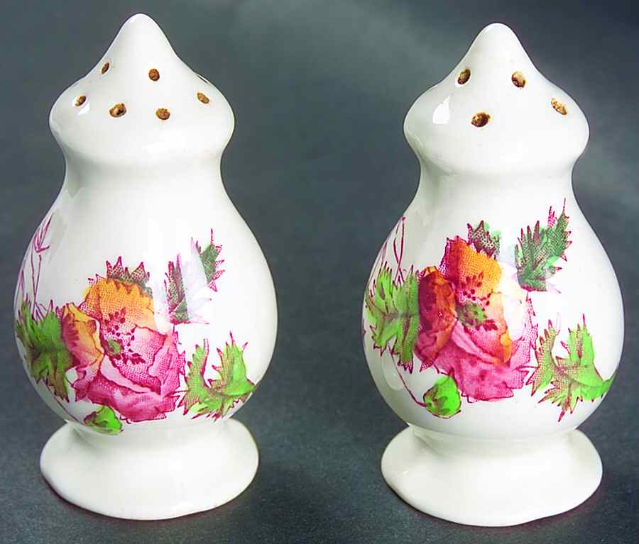 Sherborne Salt & Pepper Set by Royal Doulton-1