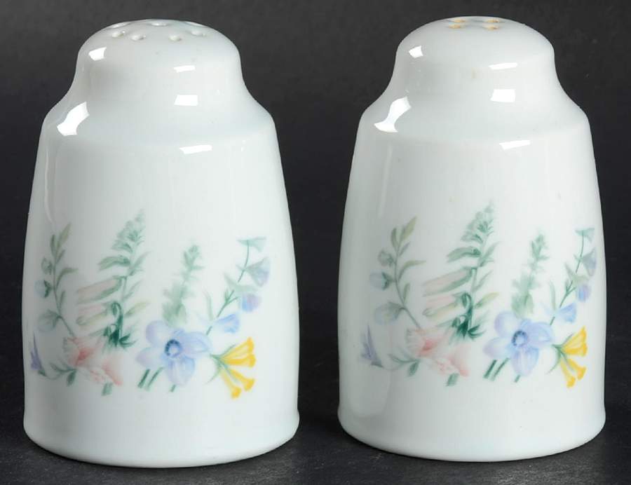 Shady Lane Salt & Pepper Set by Royal Doulton-1