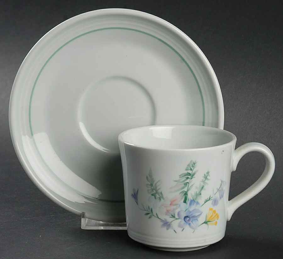 Shady Lane Flat Cup & Saucer Set by Royal Doulton-1
