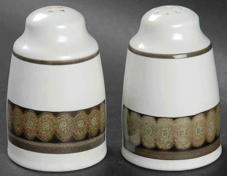 Sienna Salt & Pepper Set by Royal Doulton-1