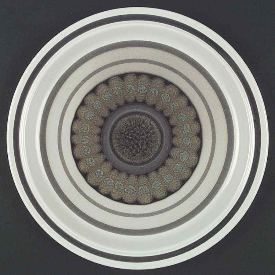 Sienna Dinner Plate by Royal Doulton-1
