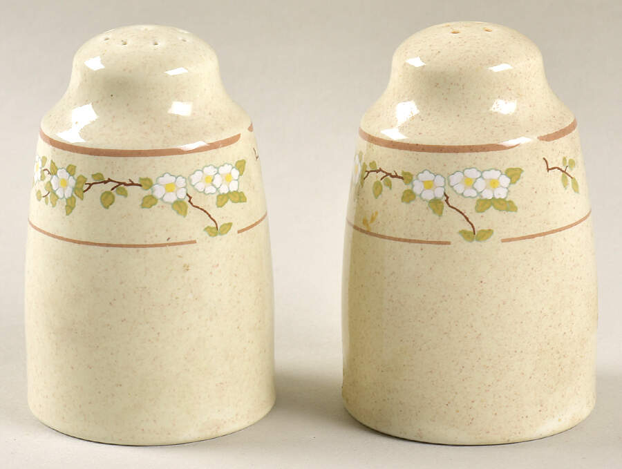 Somerset Salt & Pepper Set by Royal Doulton-1
