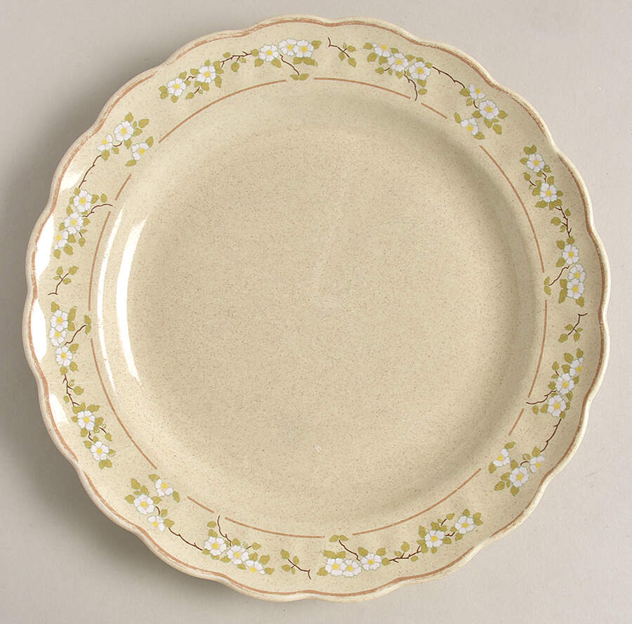 Somerset Luncheon Plate by Royal Doulton-1