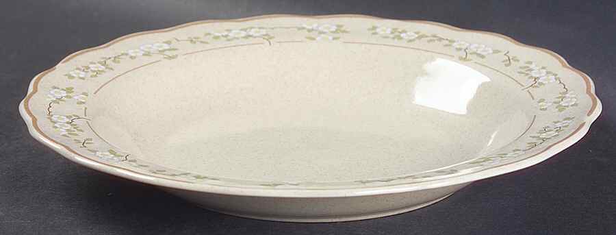 Somerset Rim Soup Bowl by Royal Doulton-1