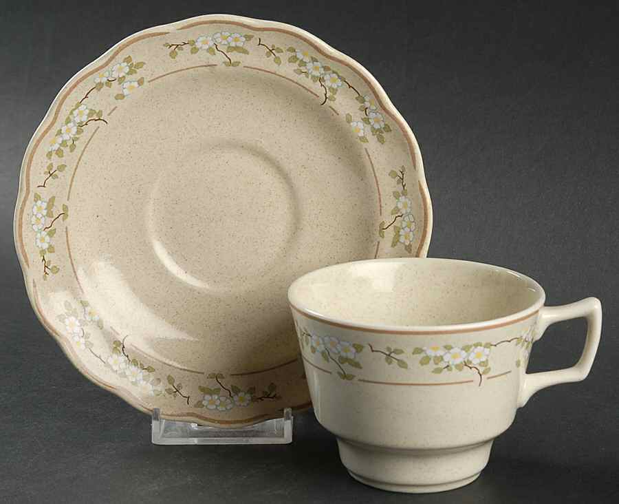 Somerset Flat Cup & Saucer Set by Royal Doulton-1
