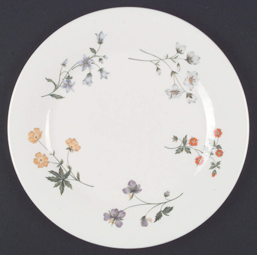 Springtime Dinner Plate by Royal Doulton-1
