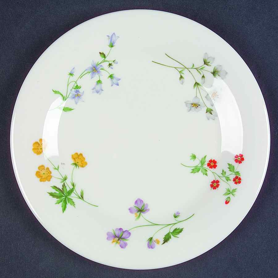 Springtime Bread & Butter Plate by Royal Doulton-1