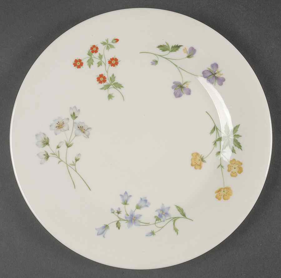 Springtime Luncheon Plate by Royal Doulton-1