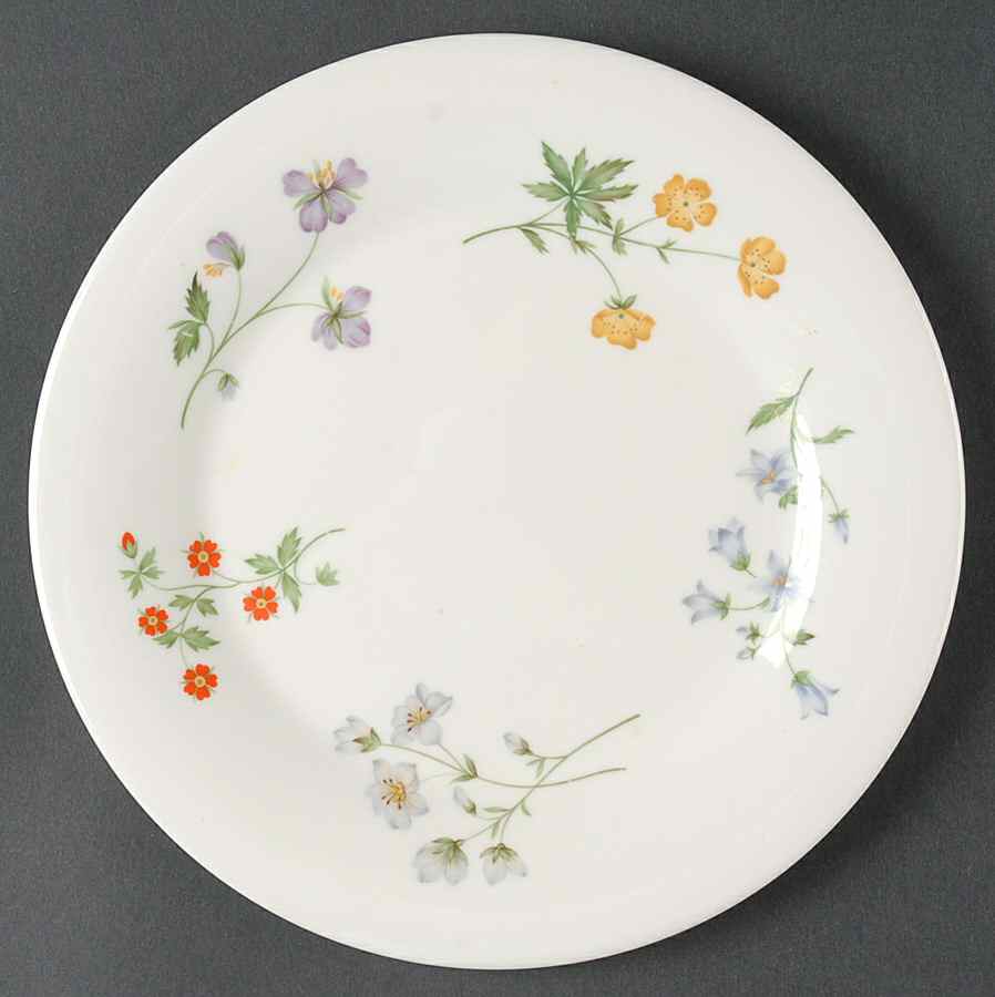 Springtime Salad Plate by Royal Doulton-1