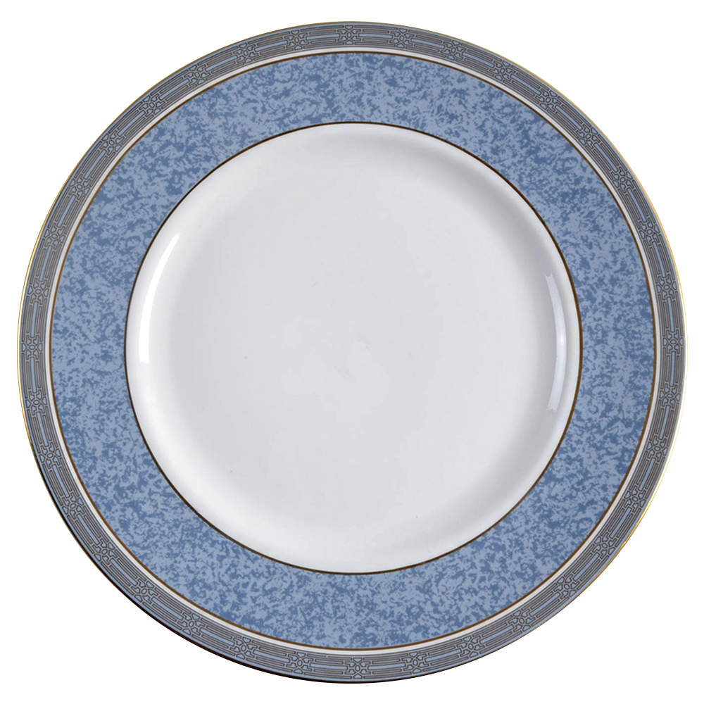 St. Pauls Dinner Plate by Royal Doulton-1