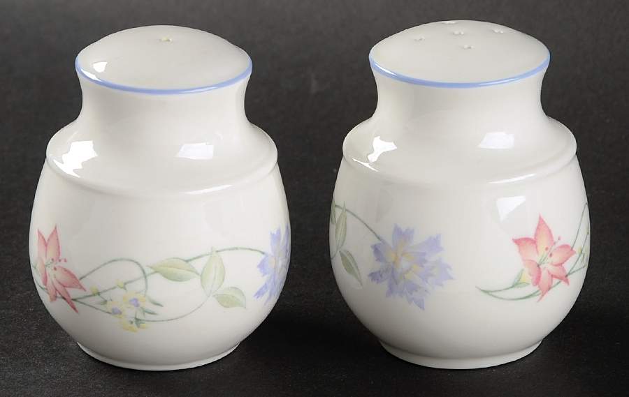 Summer Carnival Salt & Pepper Set by Royal Doulton-1