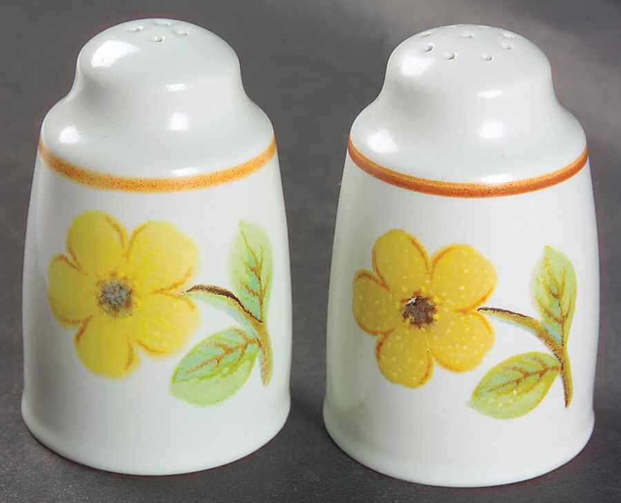 Summer Days Salt & Pepper Set by Royal Doulton-1