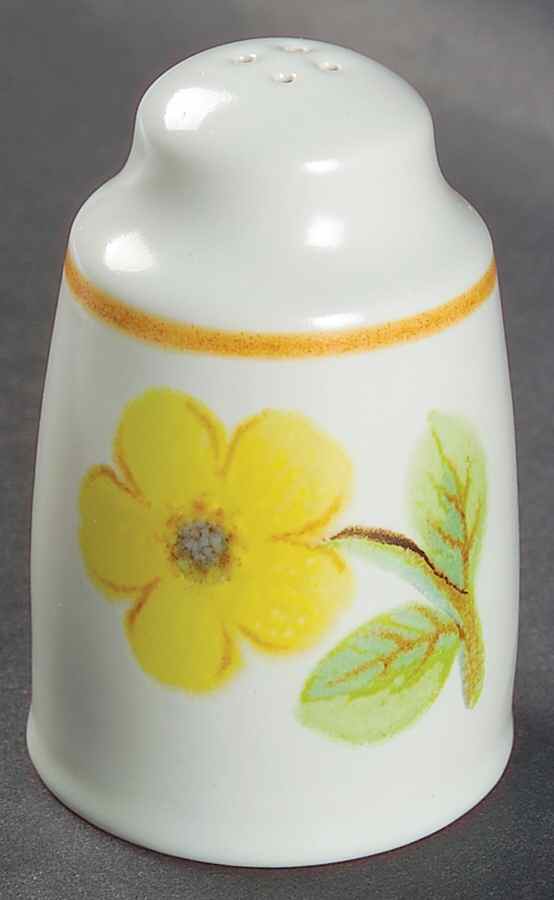 Summer Days Salt Shaker by Royal Doulton-1