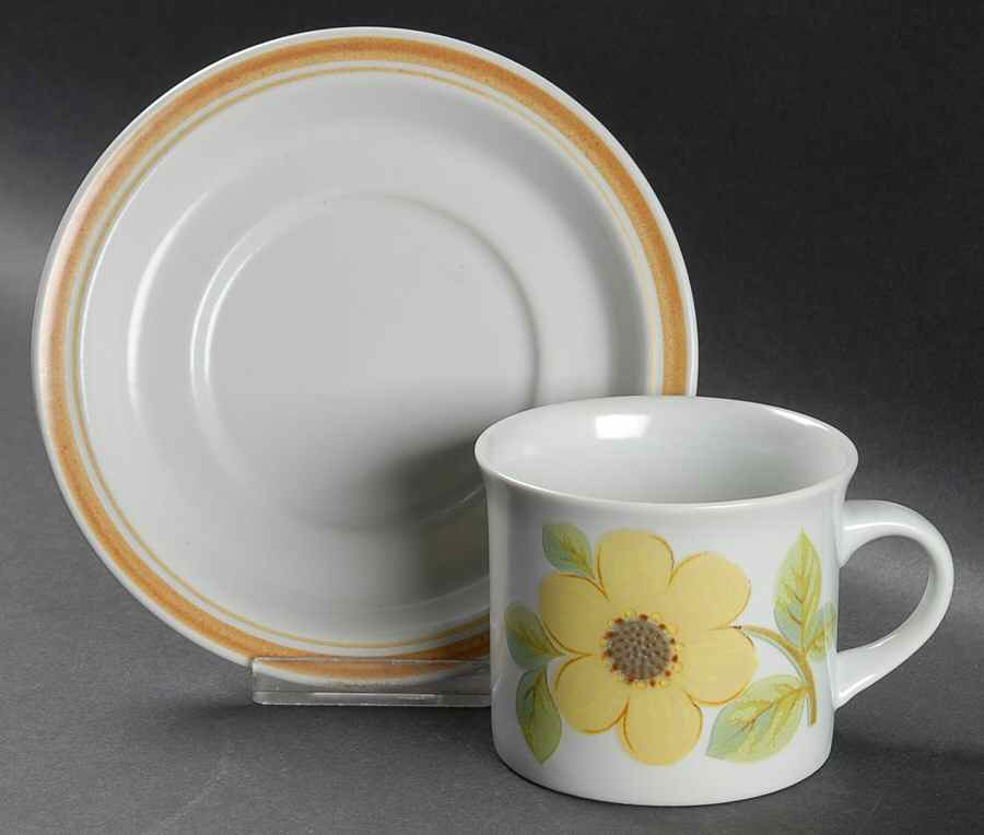 Summer Days Flat Cup & Saucer Set by Royal Doulton-1