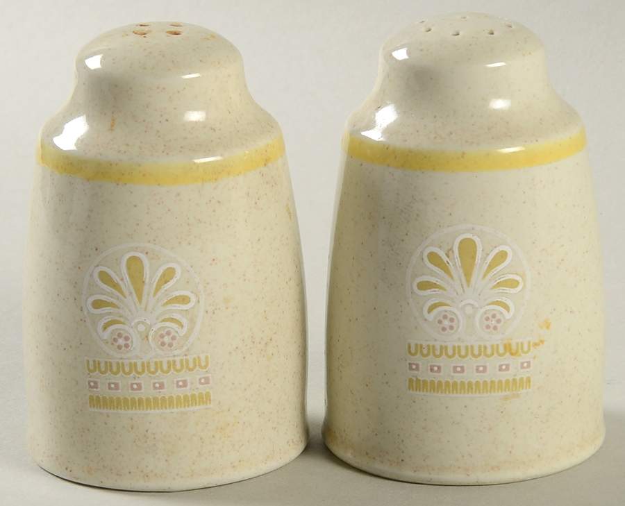 Sunny Days Salt & Pepper Set by Royal Doulton-1