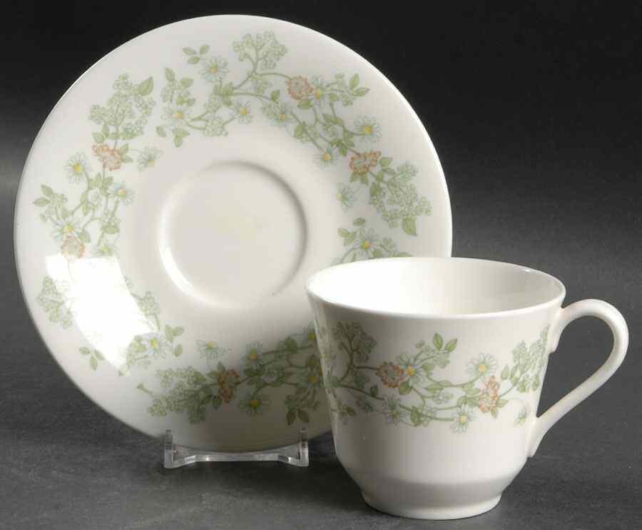 Summer Mist Flat Cup & Saucer Set by Royal Doulton-1
