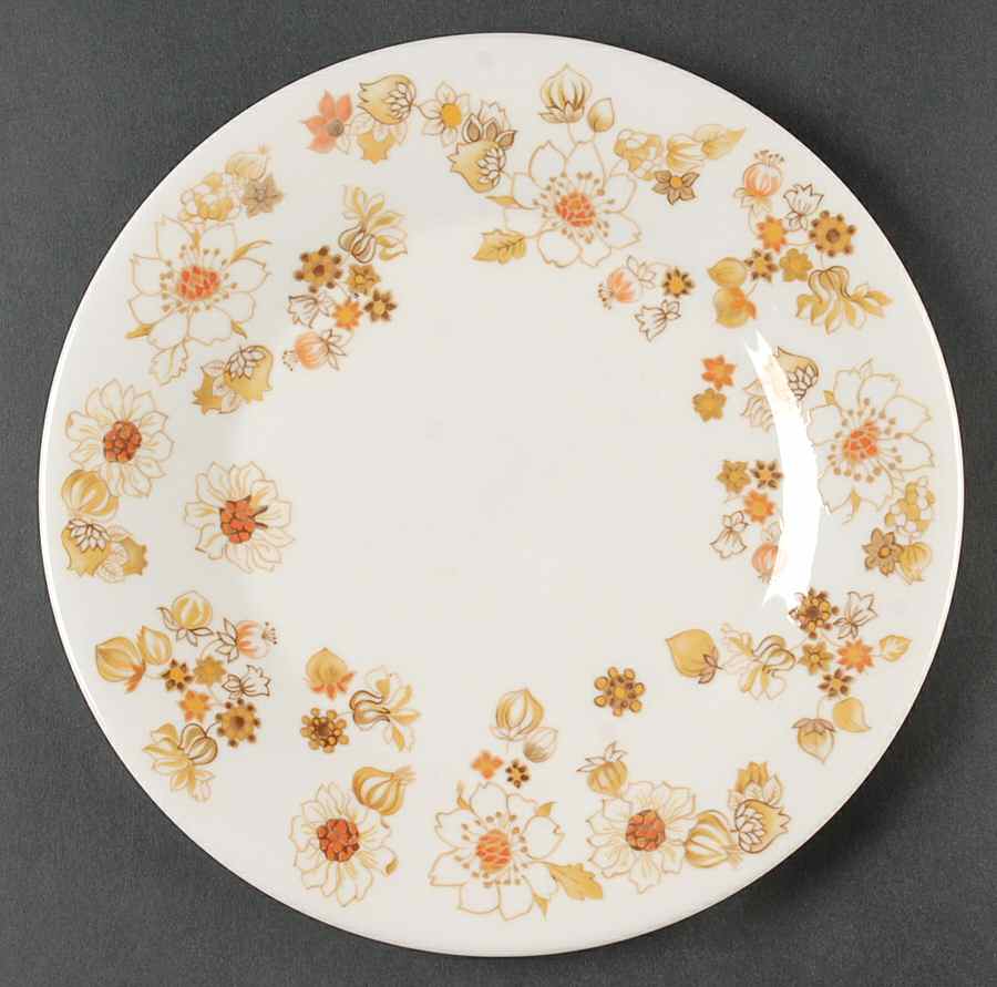 Sundance Luncheon Plate by Royal Doulton-1