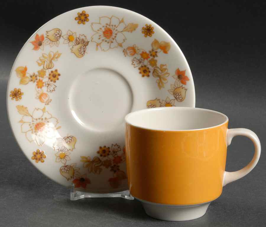 Sundance Flat Cup & Saucer Set by Royal Doulton-1
