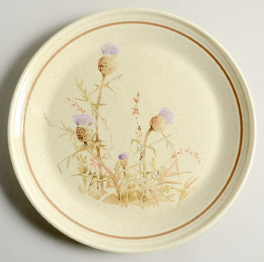 Thistledown Salad Plate by Royal Doulton-1