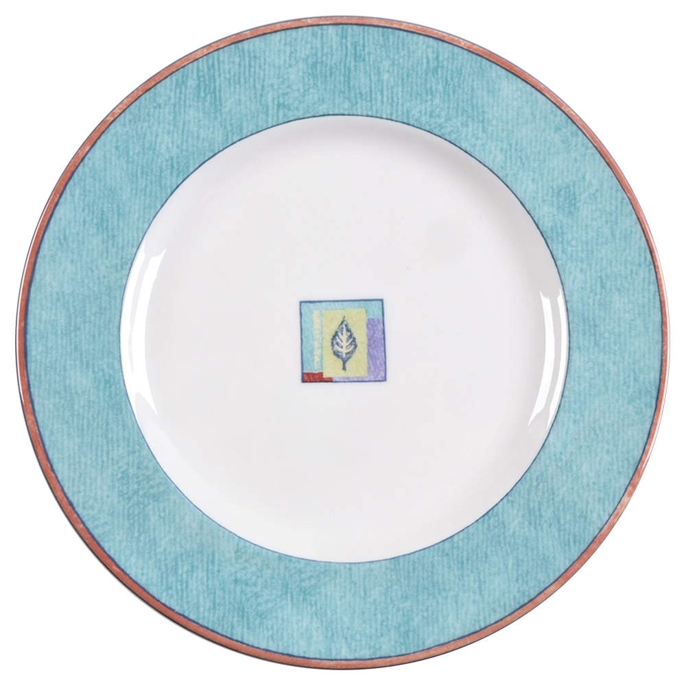 Trailfinder Accent Salad Plate by Royal Doulton-1