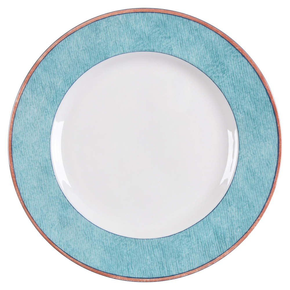Trailfinder Accent Salad Plate by Royal Doulton-1