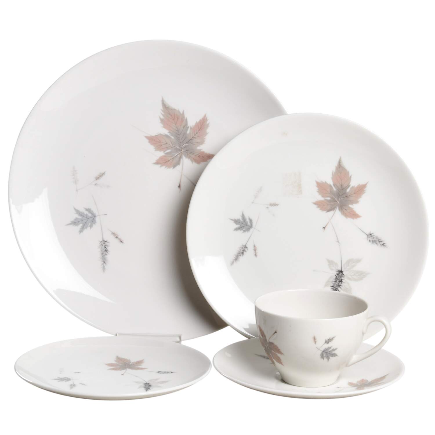 Tumbling Leaves 5 Piece Place Setting by Royal Doulton-1