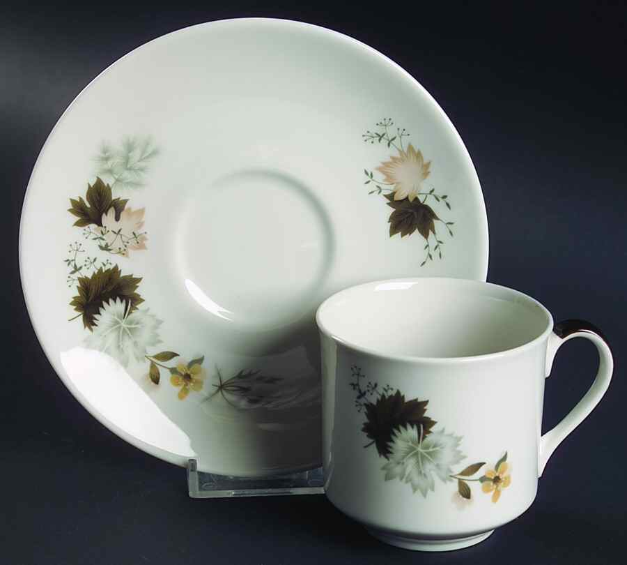 Westwood Flat Cup & Saucer Set by Royal Doulton-1