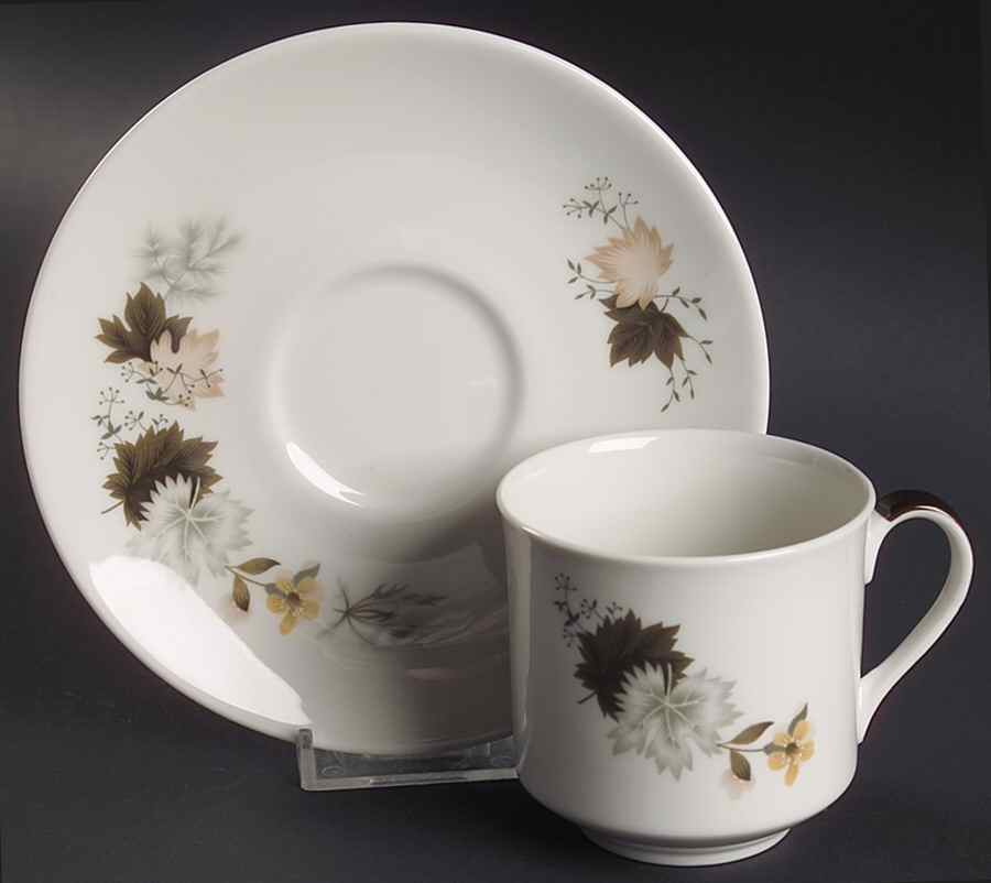 Westwood Flat Cup & Saucer Set by Royal Doulton-1